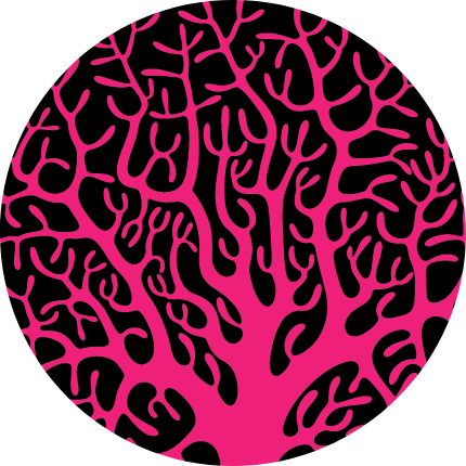 Red Coral Universe